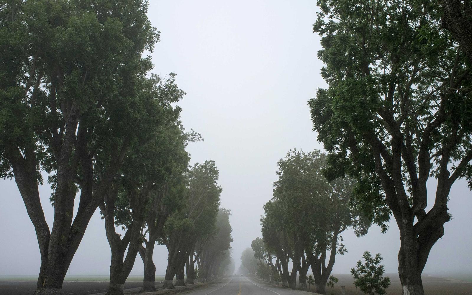 雾中远景